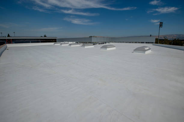 Best Roof Coating and Sealing  in Harriman, NY