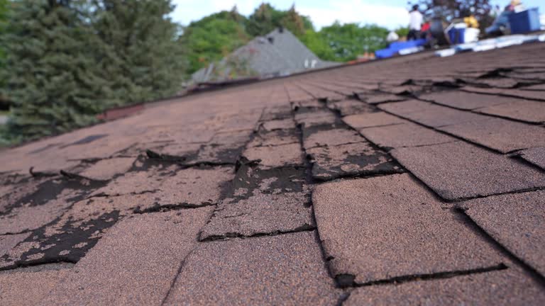 Best Asphalt Shingles Roofing  in Harriman, NY